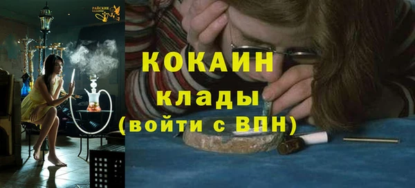 индика Алзамай