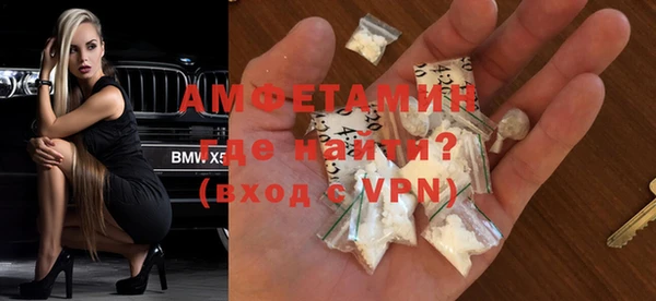 индика Алзамай