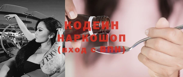 индика Алзамай