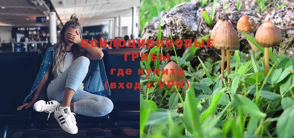 мяу мяу мука Алексин