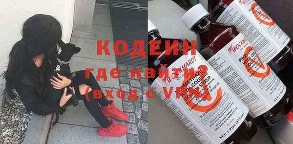 индика Алзамай