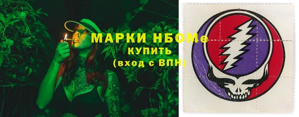 индика Алзамай