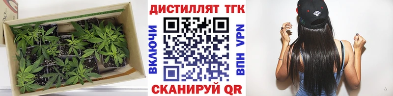 ТГК вейп  Всеволожск 